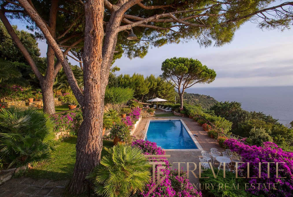 Роскошный бассейн на фоне живописных зеленых насаждений и моря, окруженный цветущими кустарниками и пышной растительностью, создает атмосферу уединения и великолепия.