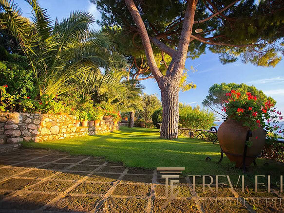 Изысканный сад с пышной зеленью и красивыми цветами у роскошного загородного дома на побережье, гармония природы и уединения.