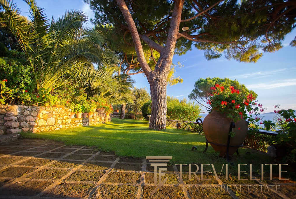 Изысканный сад с пышной зеленью и красивыми цветами у роскошного загородного дома на побережье, гармония природы и уединения.