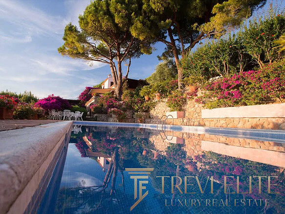 Элегантный бассейн на фоне роскошного сада с цветущими кустами и высокими деревьями, атмосфера уединения и комфорта, эксклюзивное предложение недвижимости от Треви Элит.