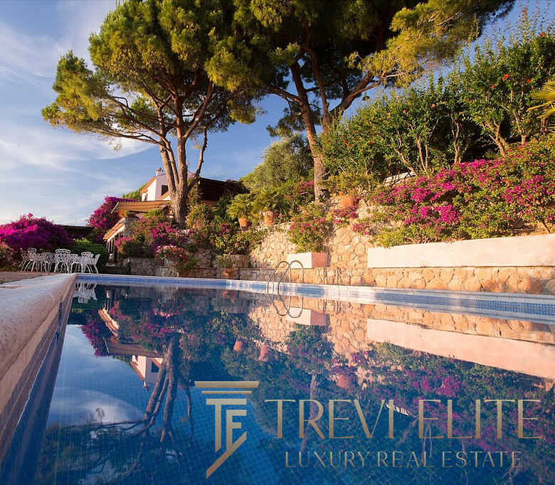 Элегантный бассейн на фоне роскошного сада с цветущими кустами и высокими деревьями, атмосфера уединения и комфорта, эксклюзивное предложение недвижимости от Треви Элит.
