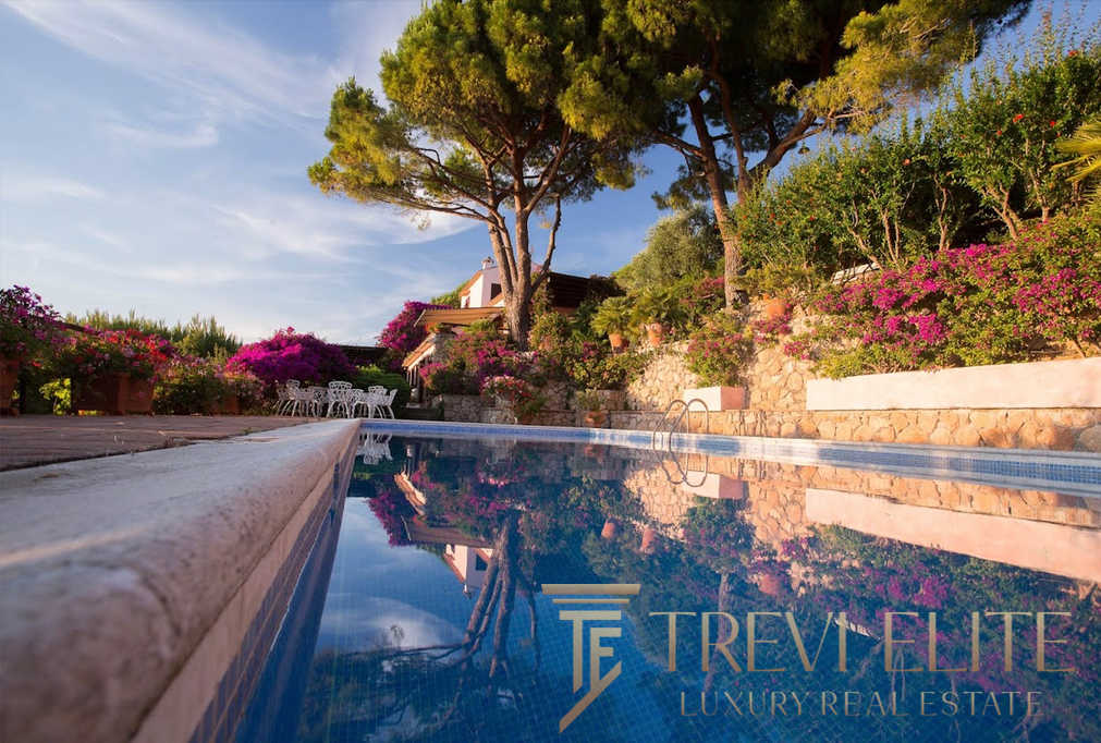 Элегантный бассейн на фоне роскошного сада с цветущими кустами и высокими деревьями, атмосфера уединения и комфорта, эксклюзивное предложение недвижимости от Треви Элит.