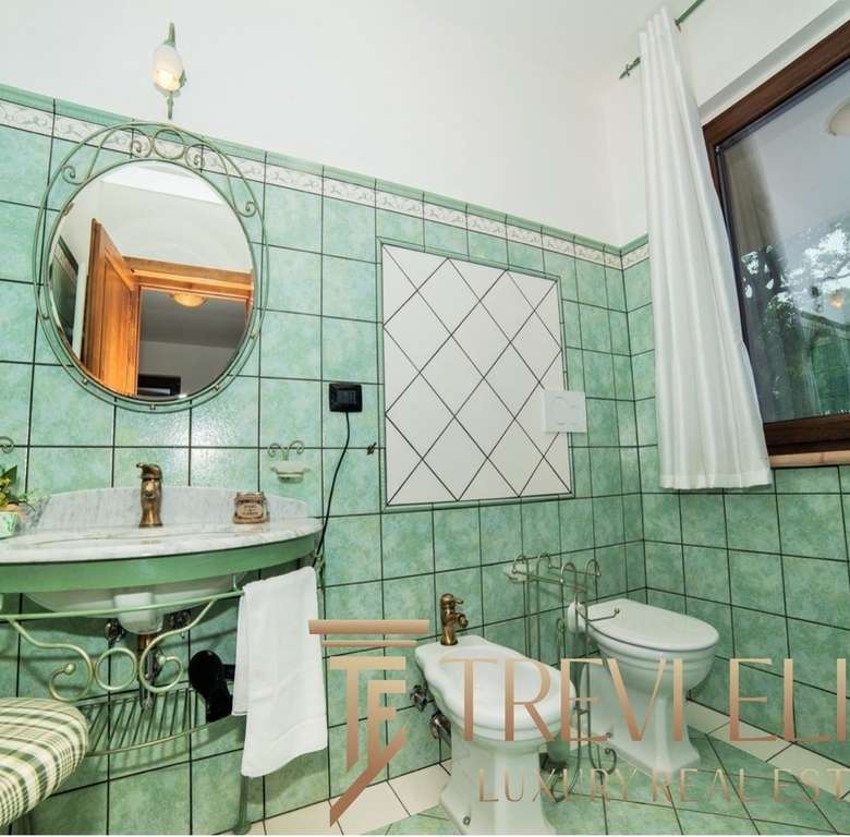 Зеленая облицовка ванной комнаты с большой оконной рамой и классической сантехникой, создающая уютную атмосферу в эксклюзивной недвижимости от Треви Элит.