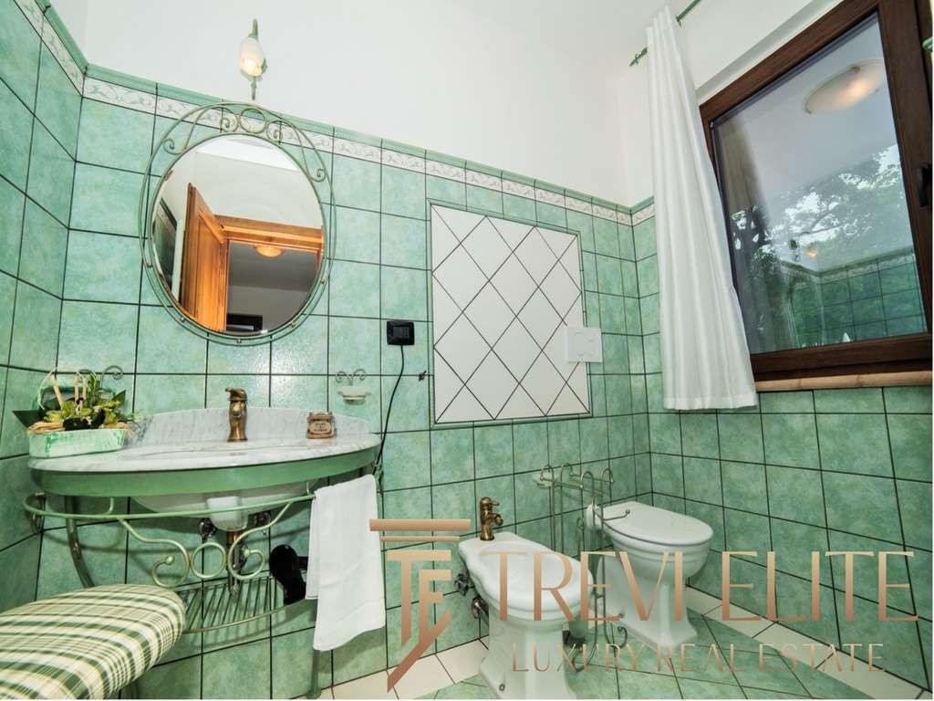 Зеленая облицовка ванной комнаты с большой оконной рамой и классической сантехникой, создающая уютную атмосферу в эксклюзивной недвижимости от Треви Элит.