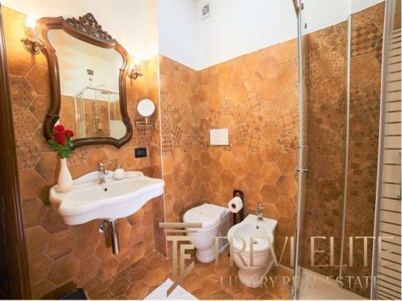 Удобный современный дизайн ванной комнаты с терракотовой керамической плиткой, классической раковиной, зеркалом в декоративной раме и современной сантехникой в престижной недвижимости.