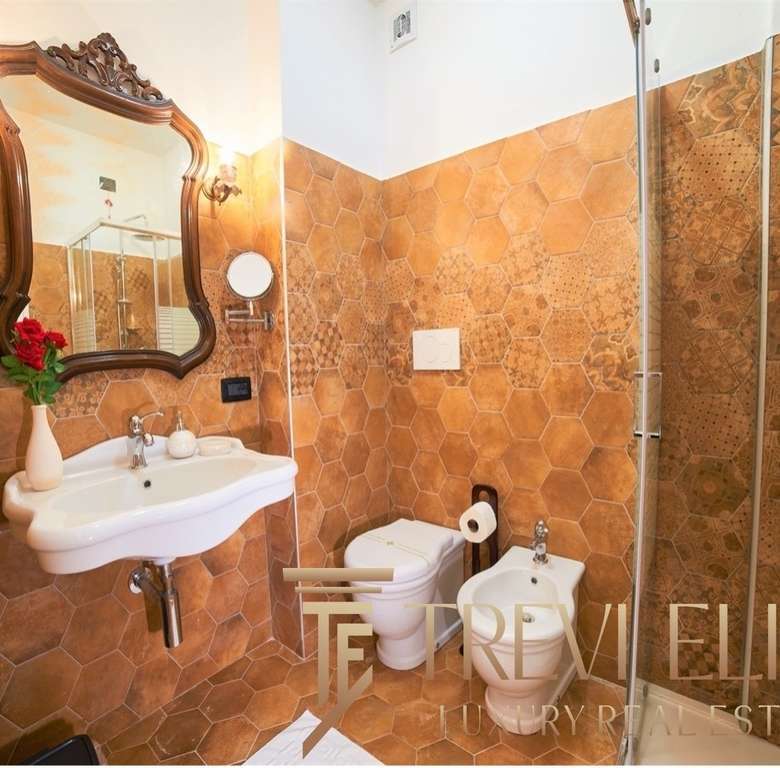 Удобный современный дизайн ванной комнаты с терракотовой керамической плиткой, классической раковиной, зеркалом в декоративной раме и современной сантехникой в престижной недвижимости.