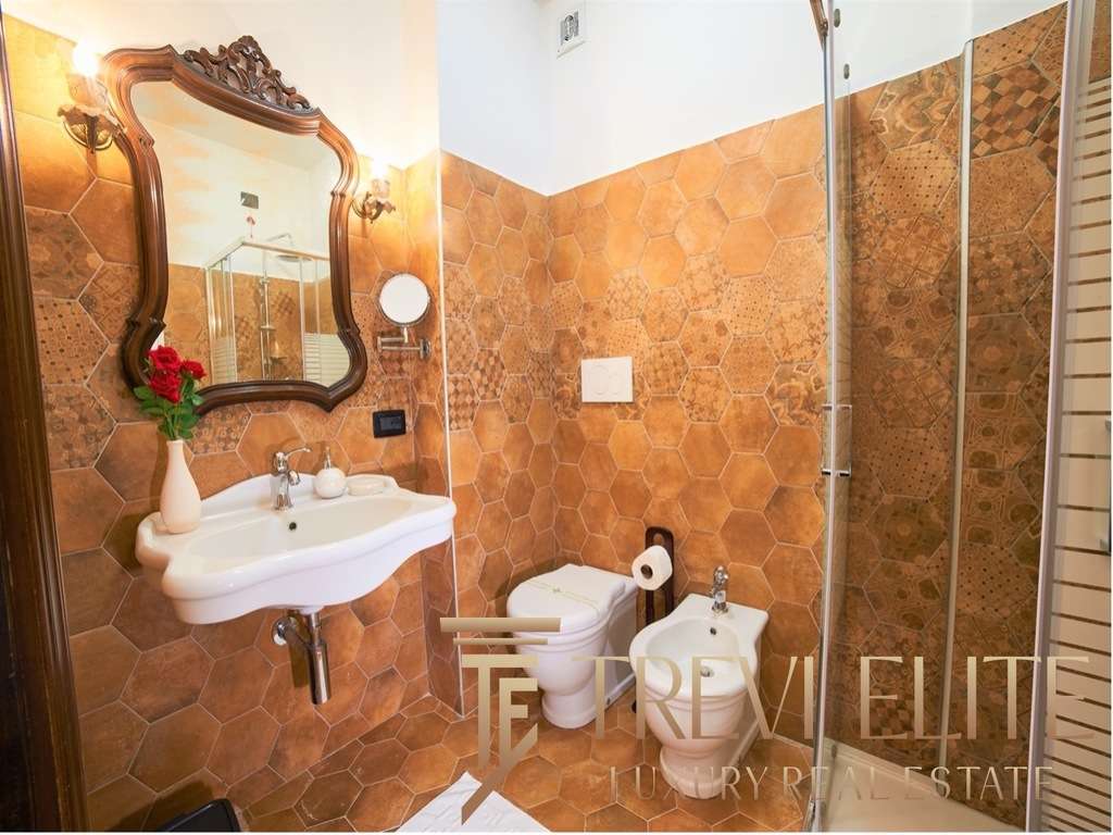 Удобный современный дизайн ванной комнаты с терракотовой керамической плиткой, классической раковиной, зеркалом в декоративной раме и современной сантехникой в престижной недвижимости.