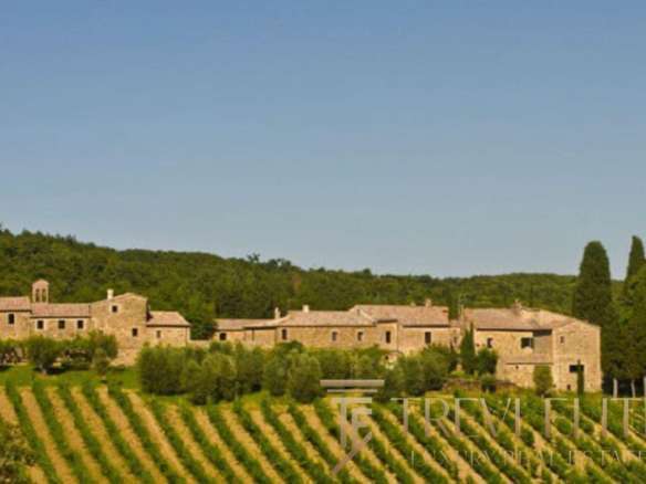 Элитный итальянский виноградник и старинное сельское имущество в Тоскане, Италия, для эксклюзивных инвестиций и роскошной жизни.