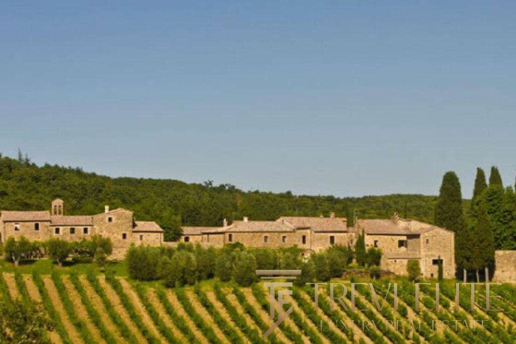 Элитный итальянский виноградник и старинное сельское имущество в Тоскане, Италия, для эксклюзивных инвестиций и роскошной жизни.