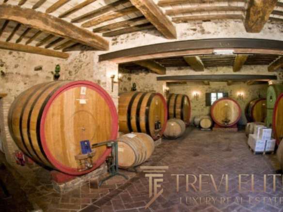 Бочковые винодельные бочки в винодельне, уютное помещение с деревянными потолками и каменной стеной. Элитное агентство недвижимости Треви Элит предлагает эксклюзивные предложения.