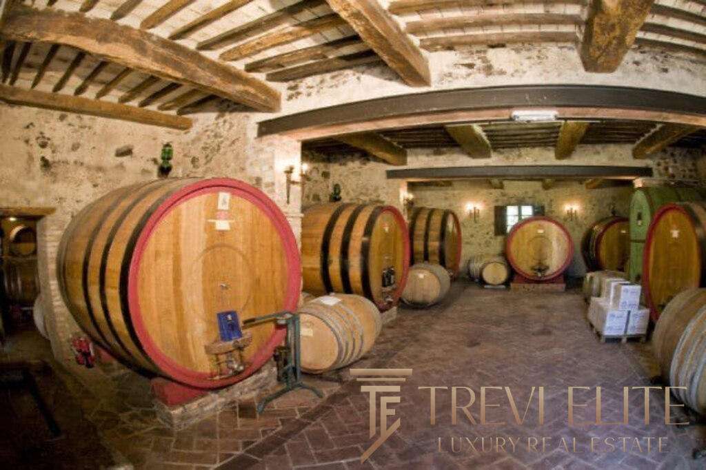 Бочковые винодельные бочки в винодельне, уютное помещение с деревянными потолками и каменной стеной. Элитное агентство недвижимости Треви Элит предлагает эксклюзивные предложения.