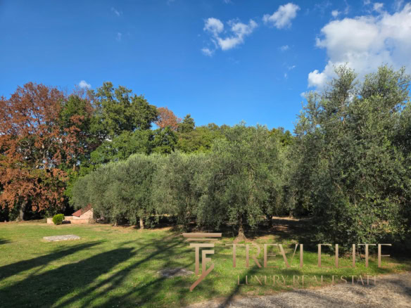 villa fonte nuova 12