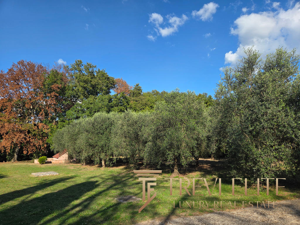 villa fonte nuova 12