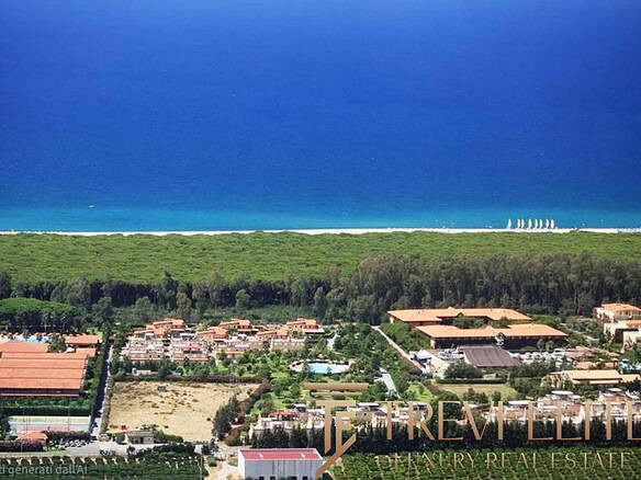 Пляж с белым песком и зелёными насаждениями, морские яхты на горизонте, красивый пейзаж курортного прибрежного района.