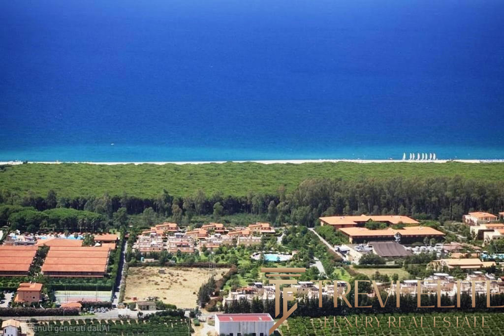 Пляж с белым песком и зелёными насаждениями, морские яхты на горизонте, красивый пейзаж курортного прибрежного района.