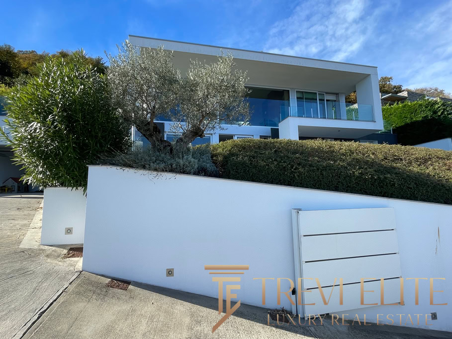 villa na ozere madzhore21