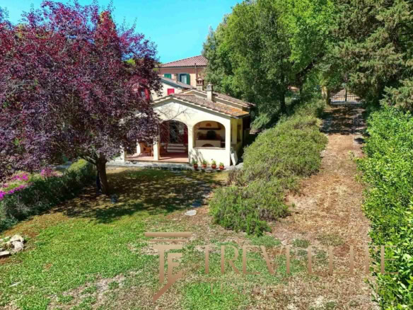 villa v castagneto carduccci (12)