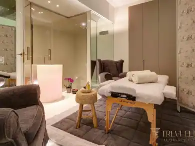 Spa bathroom with rainfall shower, massage bed, and designer fixtures